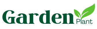Garden Plant – Best Online Plant Store