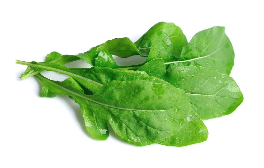 2000 Roquette Arugula Seeds - Rocket Rucola Vegetable Herb - Image 1
