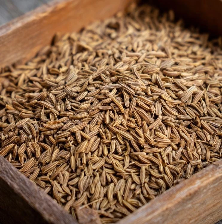 Cumin Seeds - 150 Count - Heirloom Spice for Culinary & Medicinal Use - Image 5