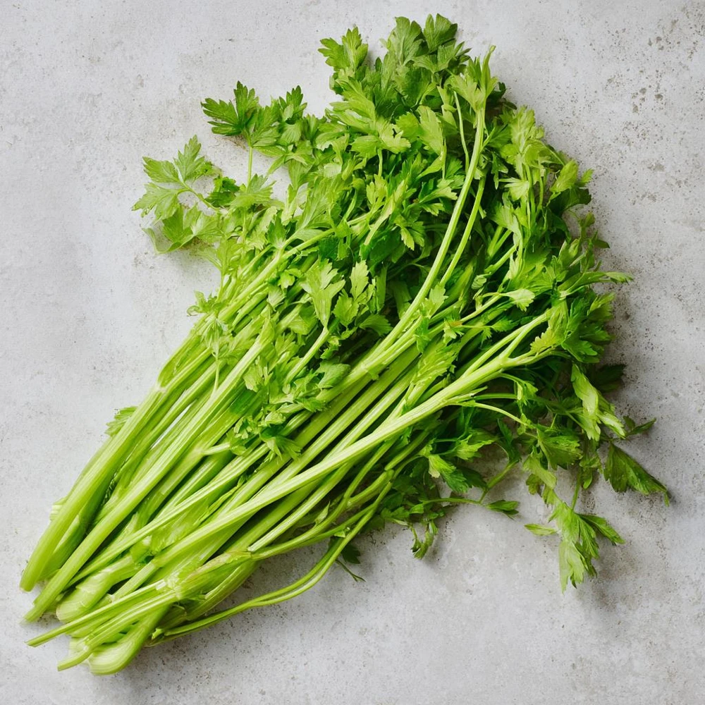 Cutting Celery Seeds - 200 Count - Flavorful Leaf Celery Herb - Image 2