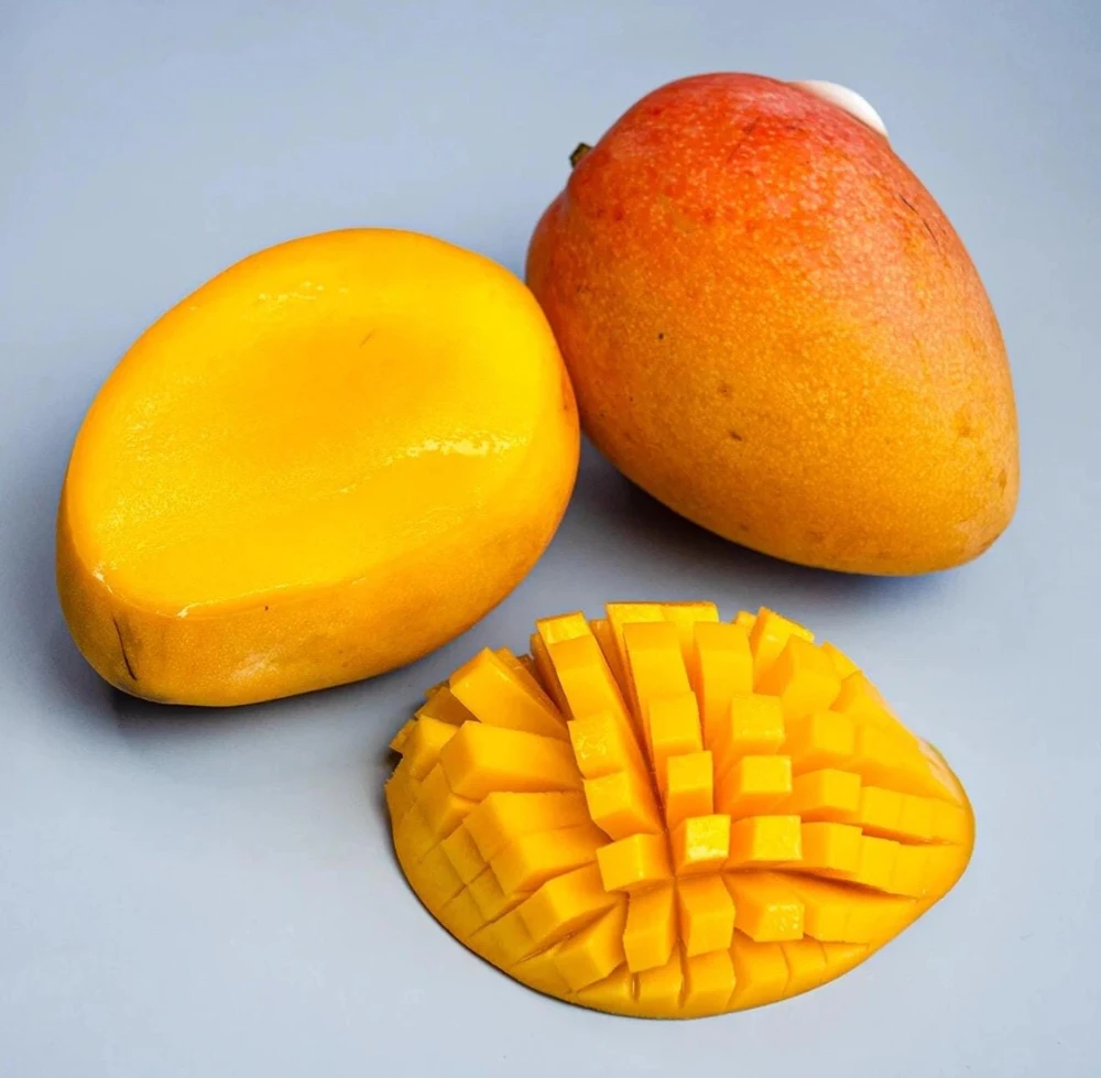 Grafted Edward Mango Tree: Sweet Tropical Fruit Tree (2ft Tall) - Image 5