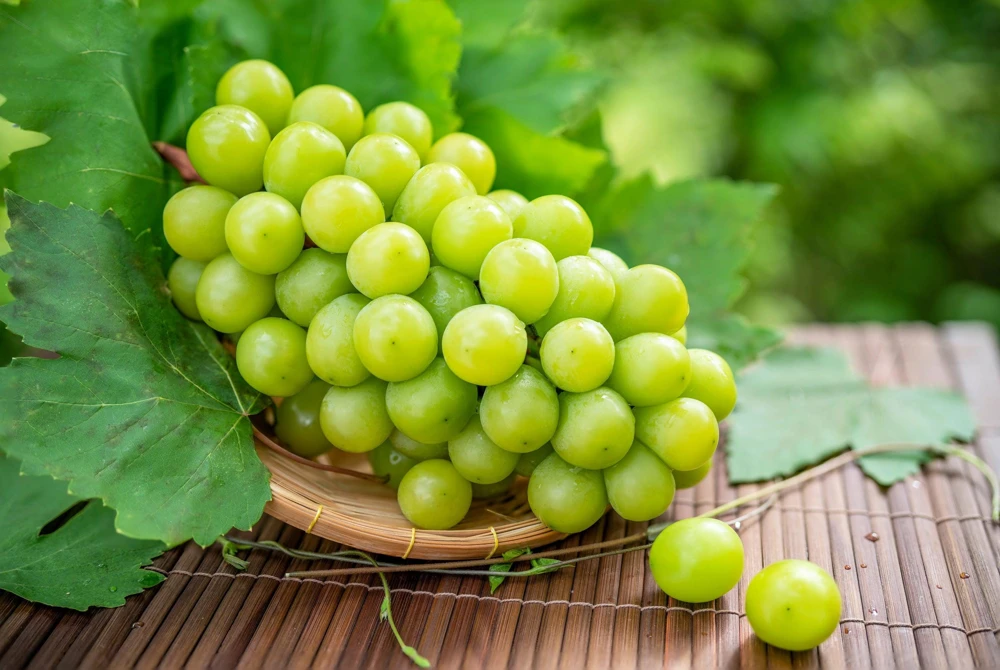 Green Grape Seeds (Vitis Vinifera) - 50 Count Fruit Vine Seeds for Planting - Image 8