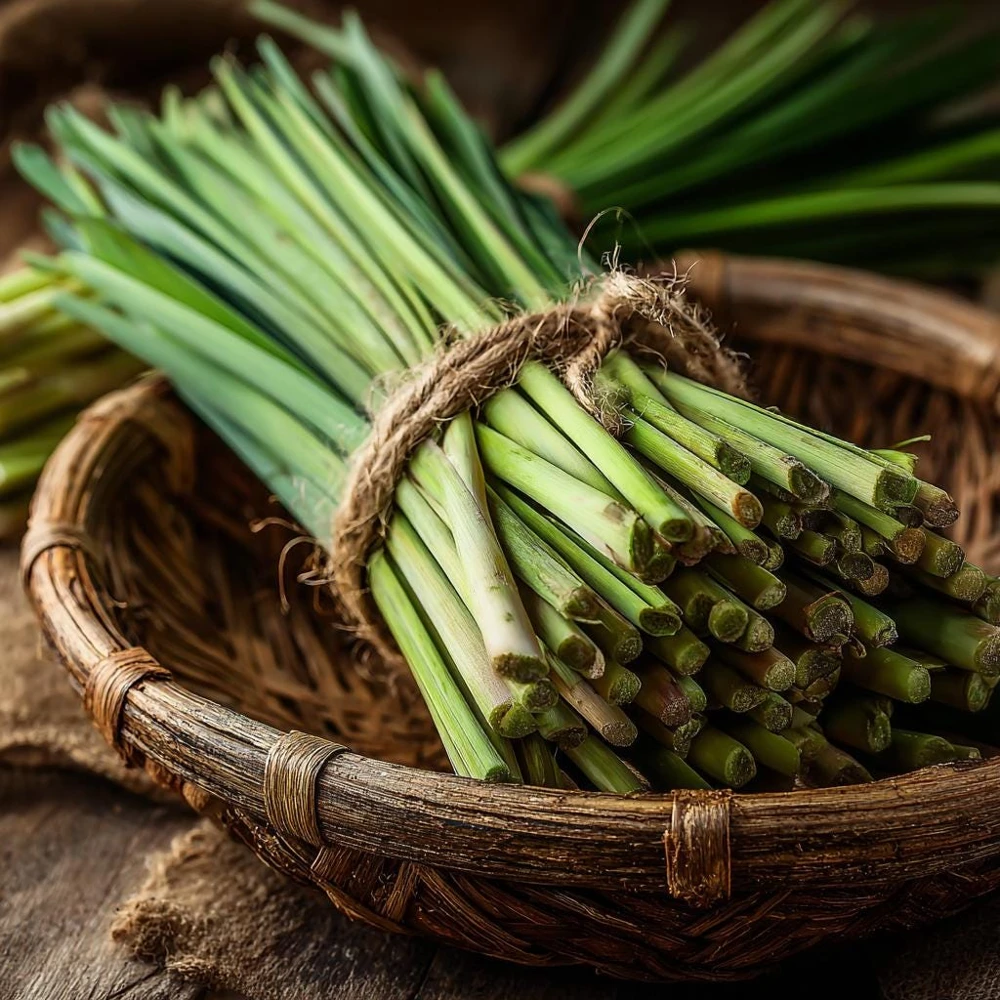 Lemongrass Seeds 100 Count - Heirloom Aromatic Medicinal Herb - Image 5
