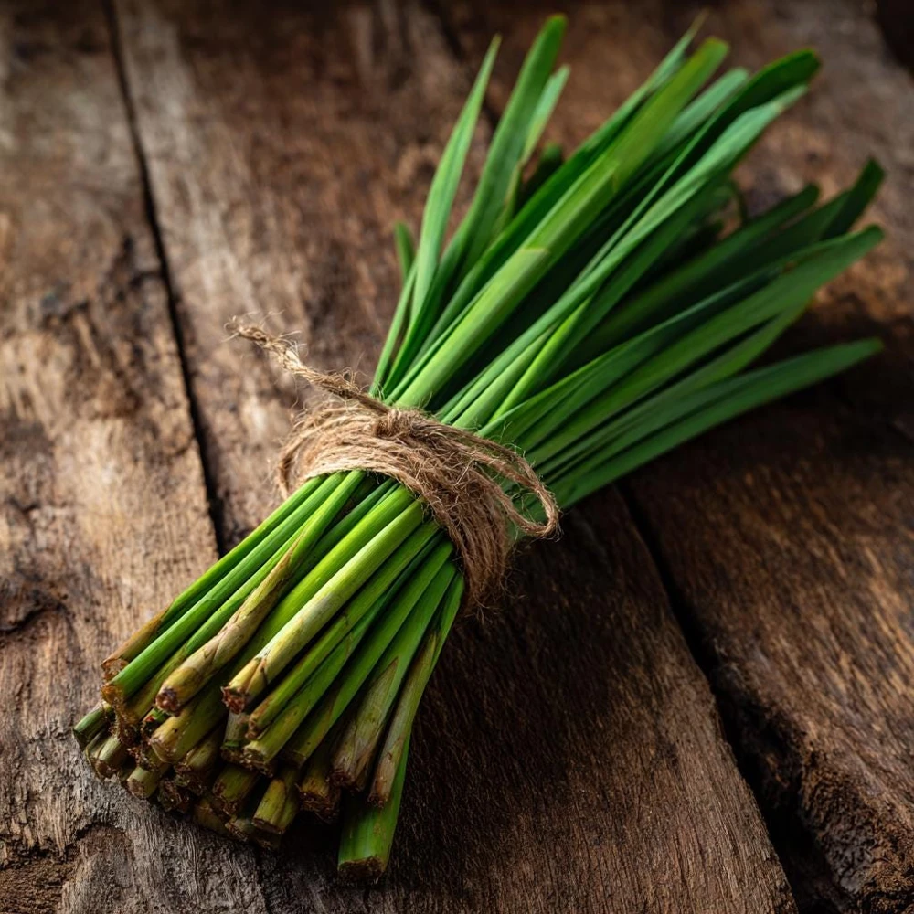 Lemongrass Seeds 100 Count - Heirloom Aromatic Medicinal Herb - Image 6