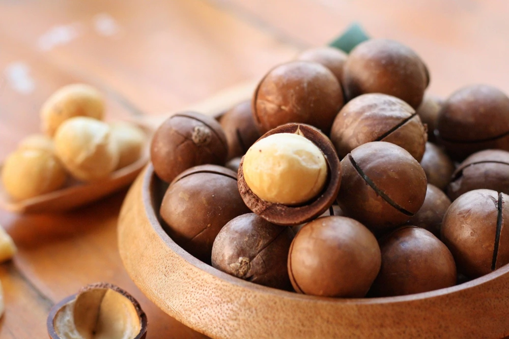 Macadamia Nut Tree Seeds (5 Seeds) - Macadamia Integrifolia - Image 4
