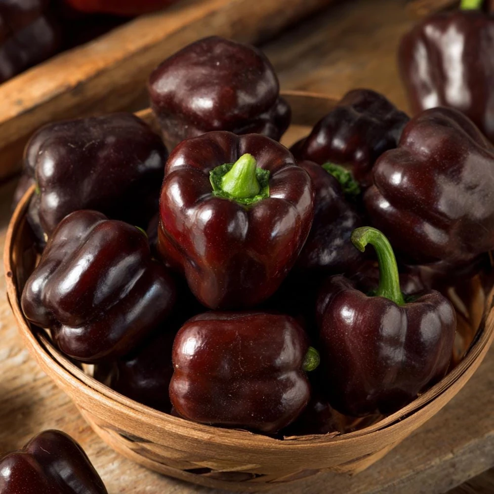 Mini Chocolate Sweet Bell Pepper Seeds - 20 Count - High-Yield, Compact - Image 4
