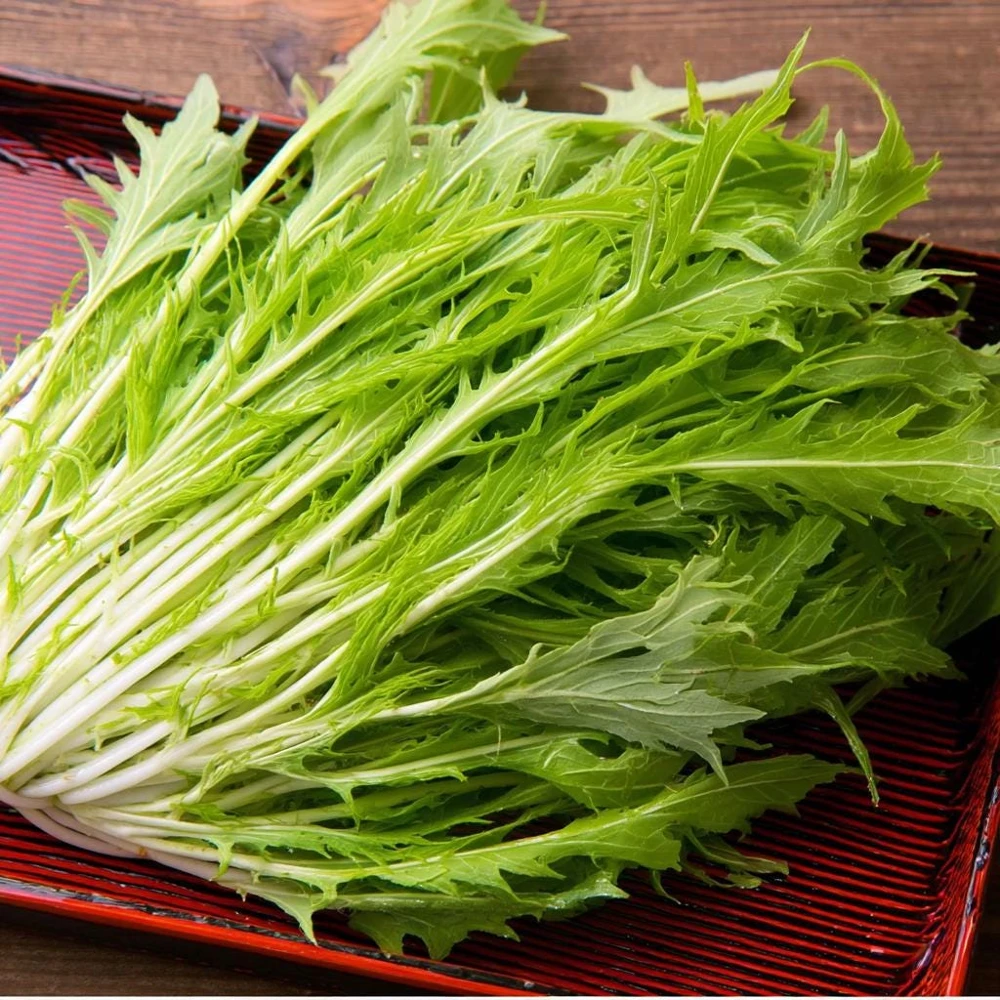 Mizuna Mustard Greens Heirloom Seeds - 250 Seeds - Fast-Growing Leafy Vegetable - Image 1