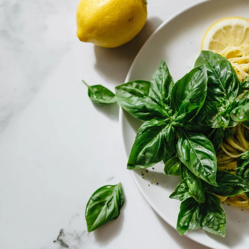 Organic Lemon Basil Seeds - 100 Seeds, Fragrant Culinary Herb - Image 3