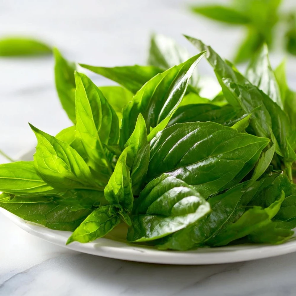 Organic Lemon Basil Seeds - 100 Seeds, Fragrant Culinary Herb - Image 5