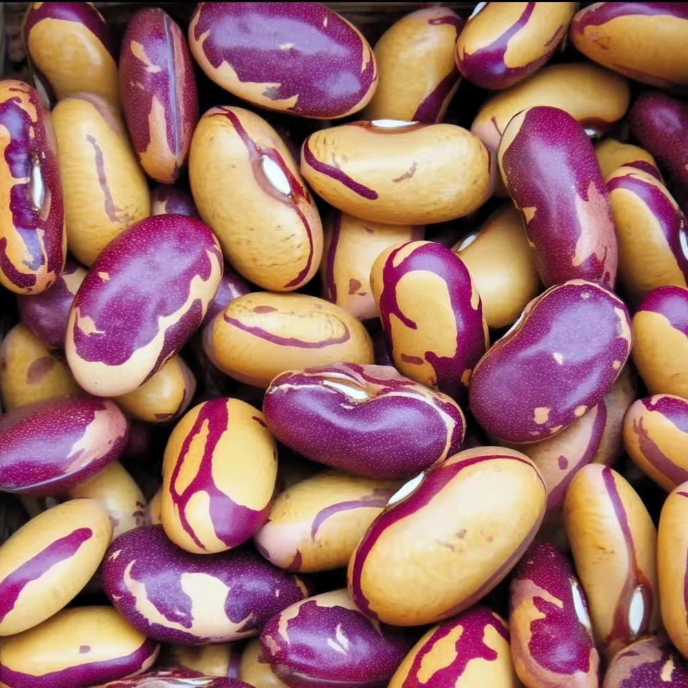 Tiger's Eye Bean Seeds – 25 Heirloom Bush Bean Seeds – Nutty Flavor, Speckled Pods - Image 1