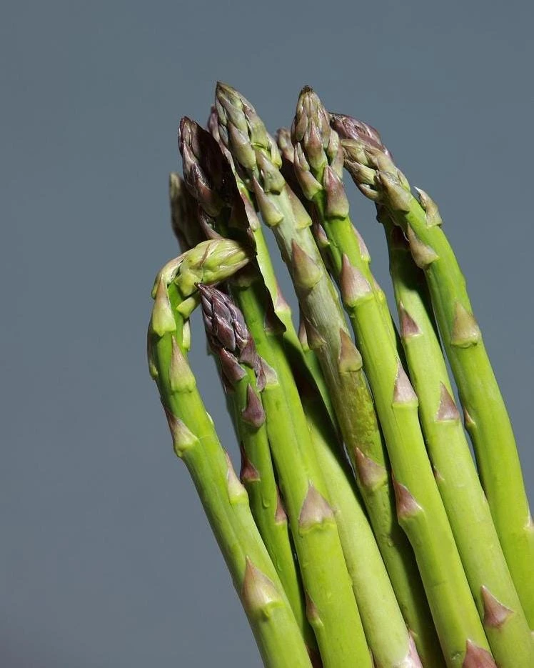 10 Atlas F1 Asparagus Crowns – 2 Year Bare Root Plants – High Yield - Image 1