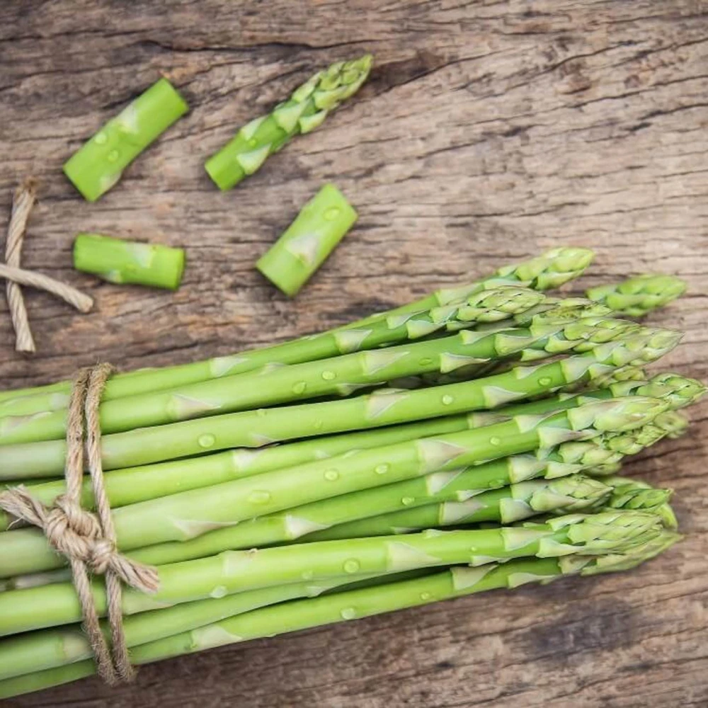 10 Jersey Knight Asparagus Crowns - 2 Year Bare Root Asparagus Plants, Disease Resistant - Image 1