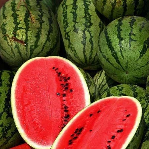 All Sweet Watermelon Seeds - Heirloom Fruit Seeds, 25-35 lb Fruit, Easy Grow Outdoor - Image 1