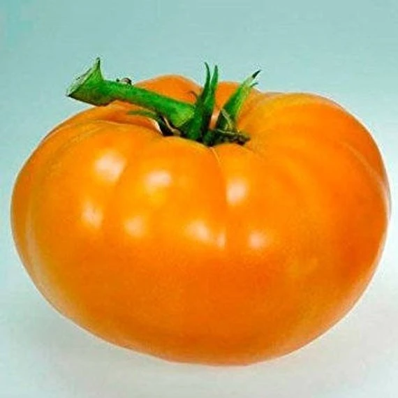 Amana Orange Tomato Seeds - 30 Seeds, Sweet, Low Acidity, Outdoor - Image 1