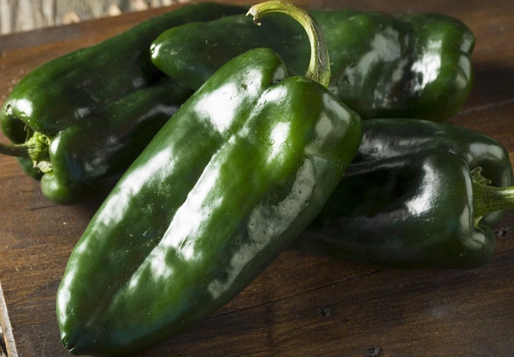 Ancho Poblano Chile Pepper Seeds - Mild Heat, Rich Flavor, Easy Grow - Image 2