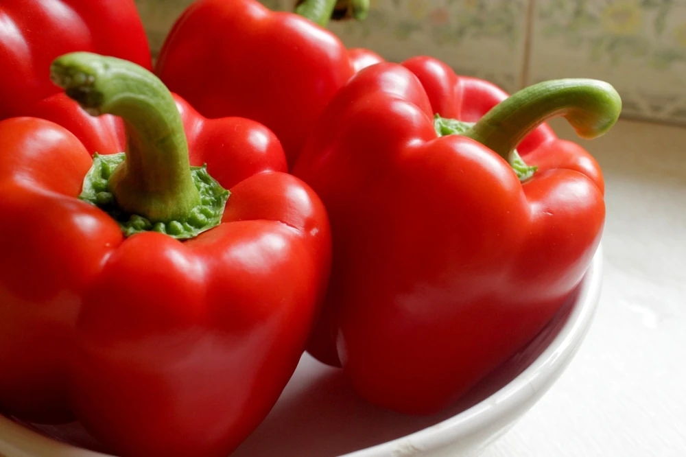 Big Red Sweet Bell Pepper Seeds - Heirloom, Easy Grow, Annual - Image 2