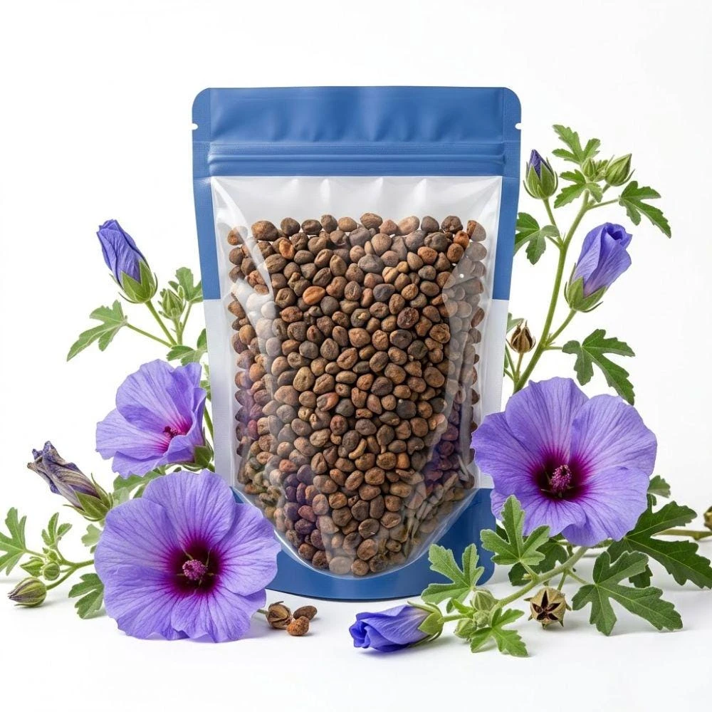 Blue Hibiscus Seeds - 20 Seeds, Rare Tropical Flower, Ornamental Shrub - Image 1
