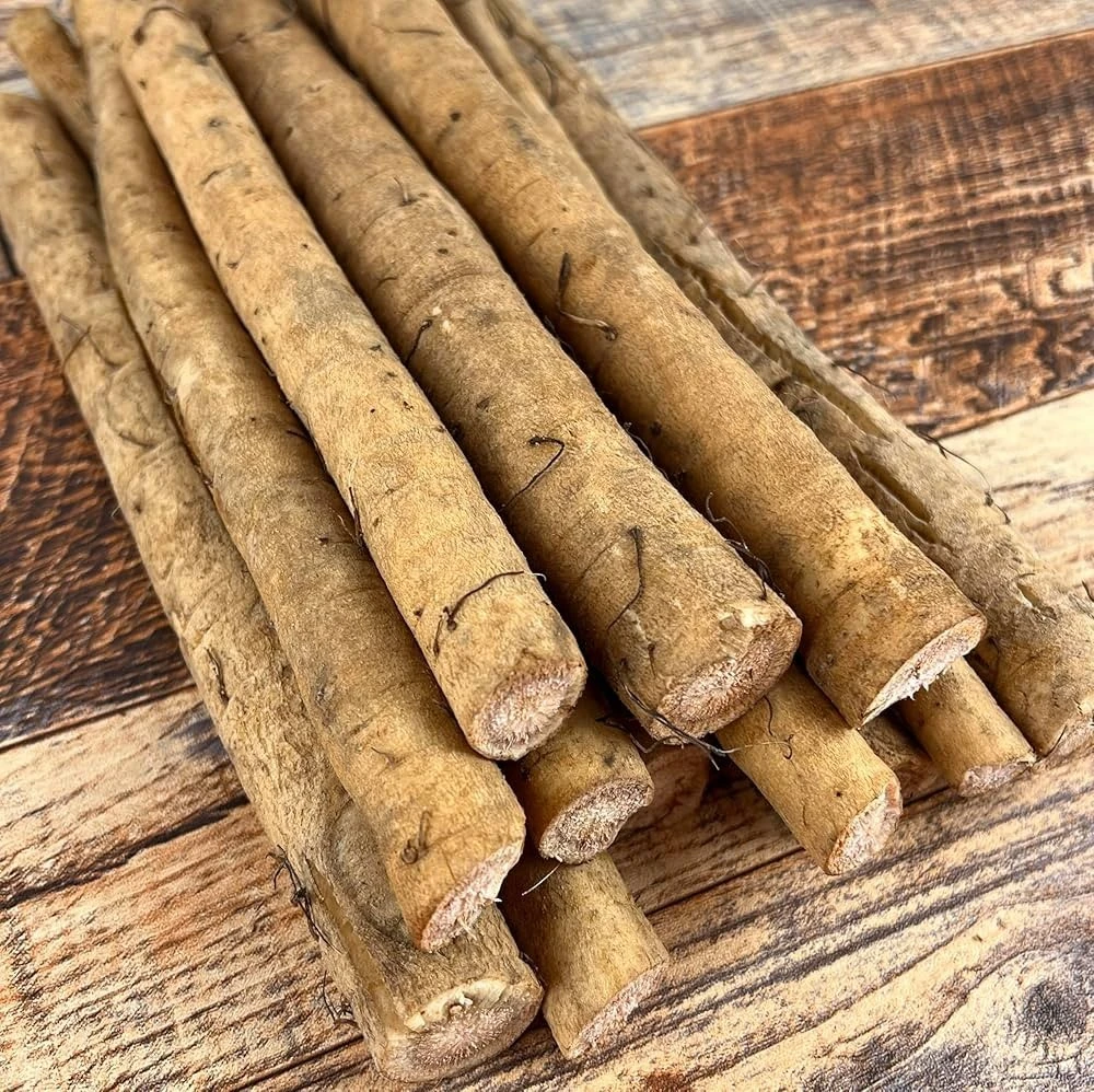 Burdock Seeds - Gobo Takinogawa Root Vegetable Seeds - Easy to Grow Biennial - Image 2