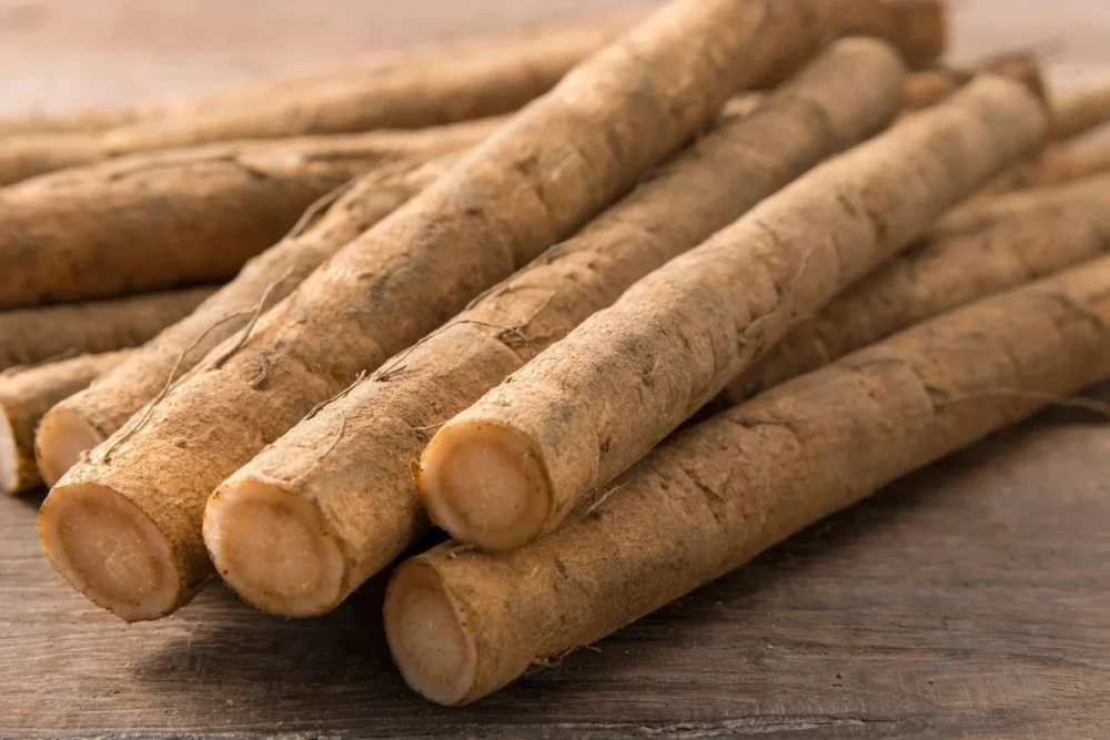 Burdock Seeds - Gobo Takinogawa Root Vegetable Seeds - Easy to Grow Biennial - Image 1