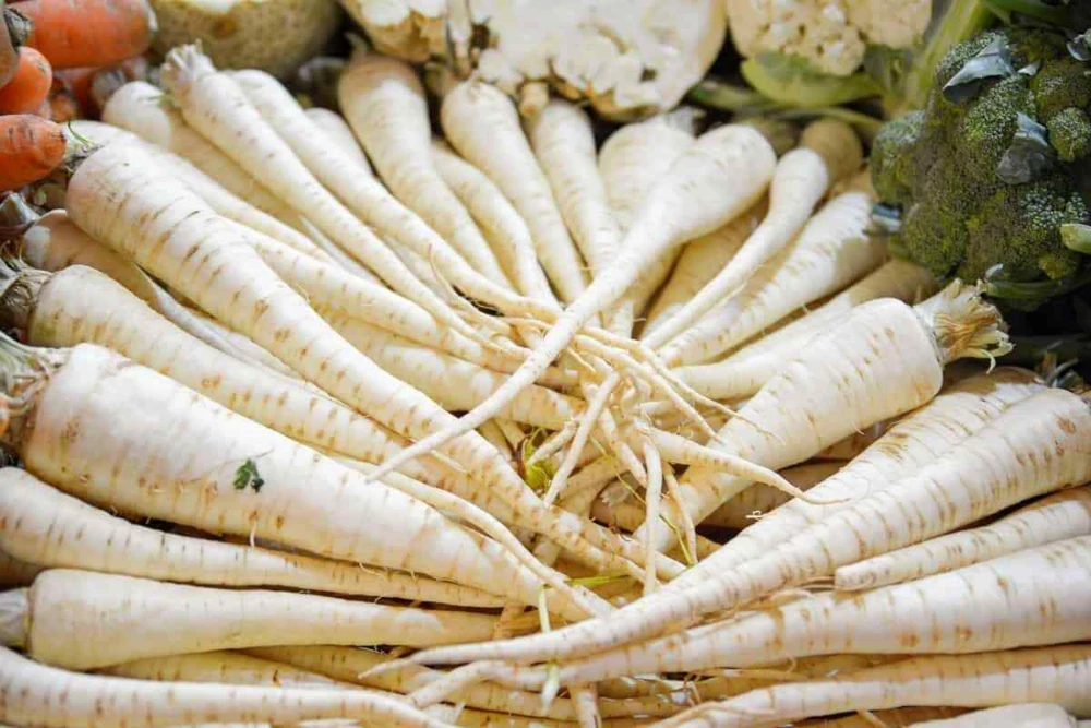 Carrot Seeds Collection - 14 Varieties, Annual Vegetable Seeds - Image 13