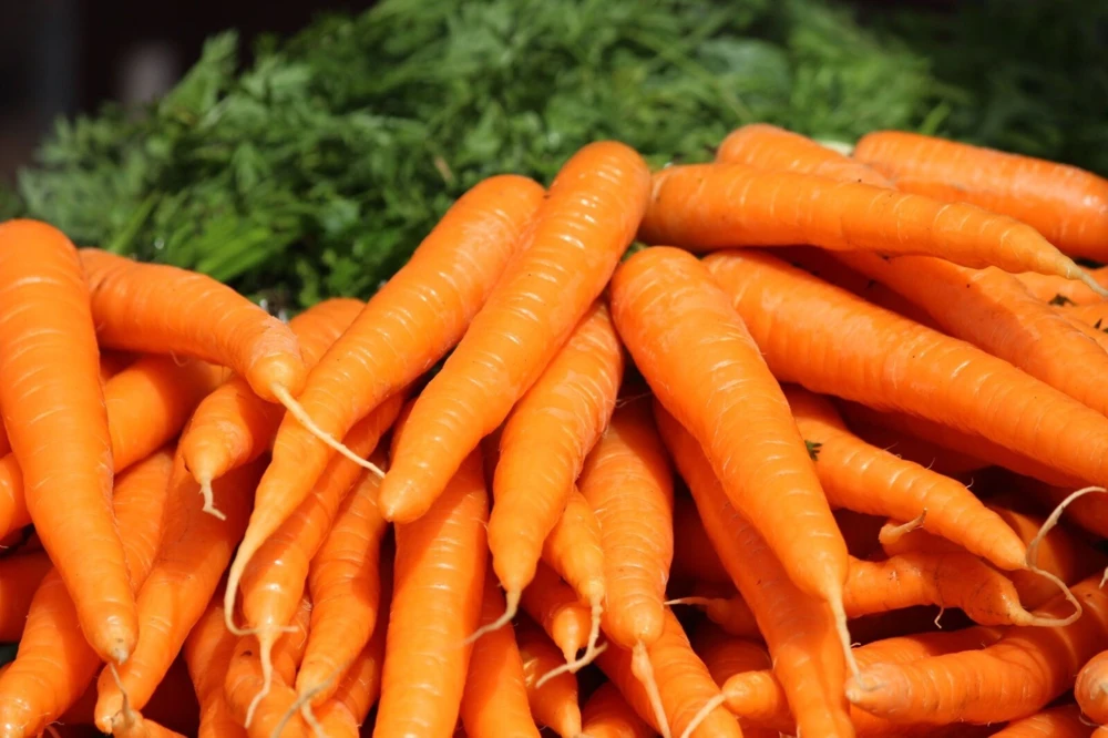 Carrot Seeds Collection - 14 Varieties, Annual Vegetable Seeds - Image 15