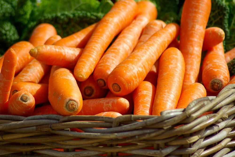 Carrot Seeds Collection - 14 Varieties, Annual Vegetable Seeds - Image 4