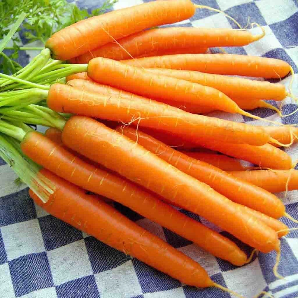 Carrot Seeds Collection - 14 Varieties, Annual Vegetable Seeds - Image 7