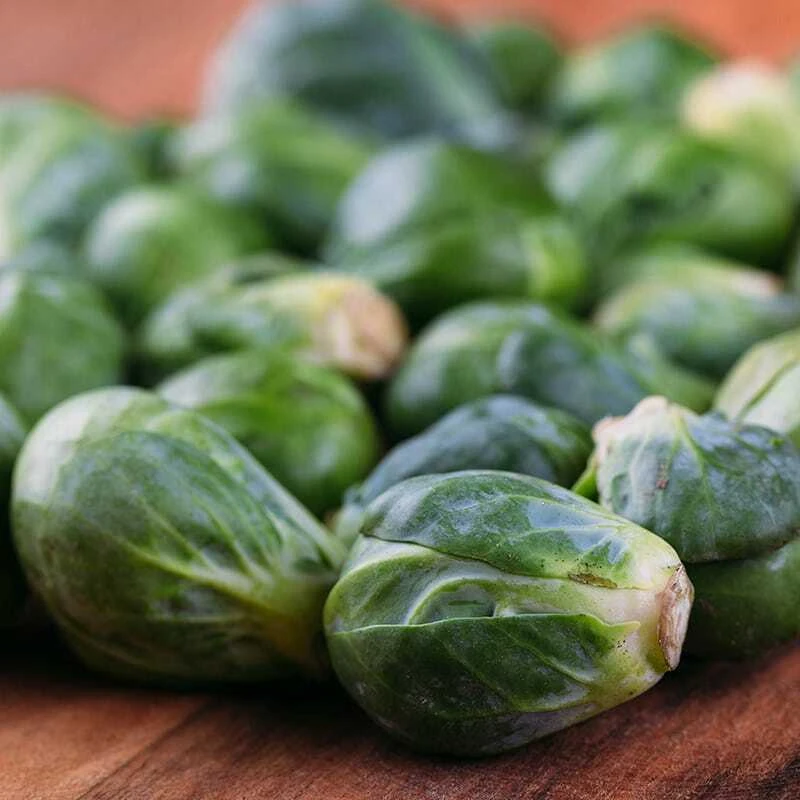 Catskill Brussels Sprouts Vegetable Seeds - Easy to Grow Brassica oleracea - Image 1