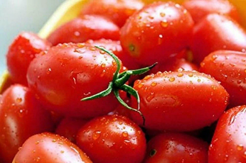 Cherry Tomato Seeds - Rare Small Varieties for Outdoor Gardens, Easy Grow - Image 7