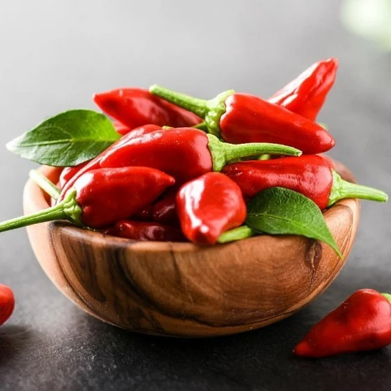 Chile de Árbol Pepper Seeds - Small Red Chile, Mild Heat, Easy Grow - Image 1