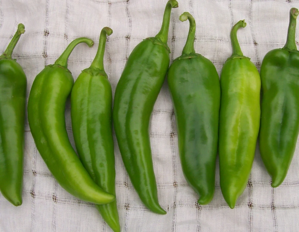 Chili Pepper Seeds Collection - 12 Varieties - Annual Capsicum annuum - Image 2
