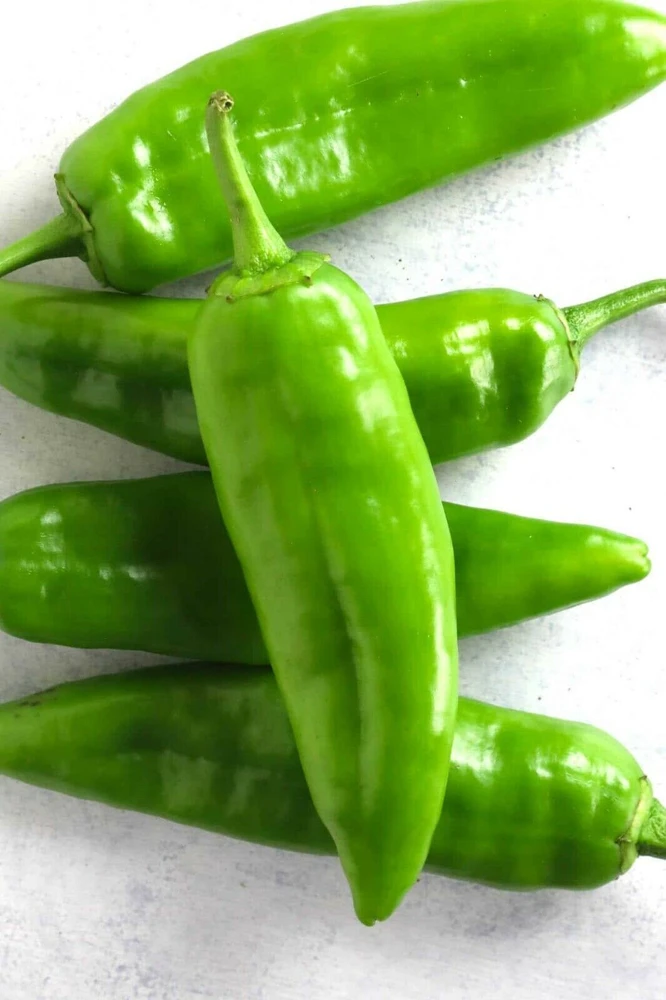 Chili Pepper Seeds Collection - 12 Varieties - Annual Capsicum annuum - Image 5