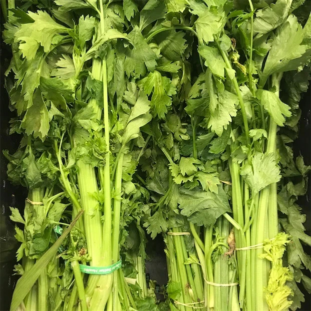 Chinese Celery Seeds - Yellow Stem, Heirloom, Gold Celery Vegetable Seeds - Image 1