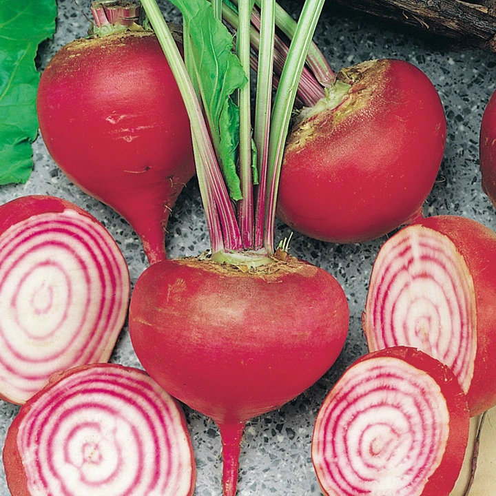Chioggia Beet Seeds - Candy Stripe, Bassano, Bulls Eye Beet Seeds - Image 1