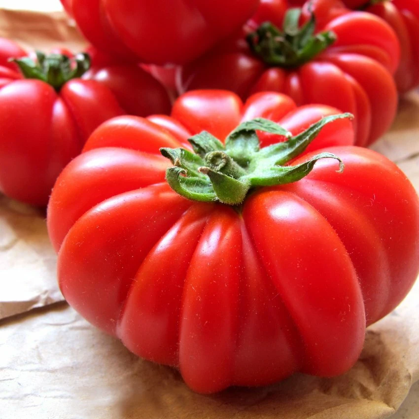 Costoluto Genovese Tomato Seeds - Italian Ribbed Heirloom Red - Image 1