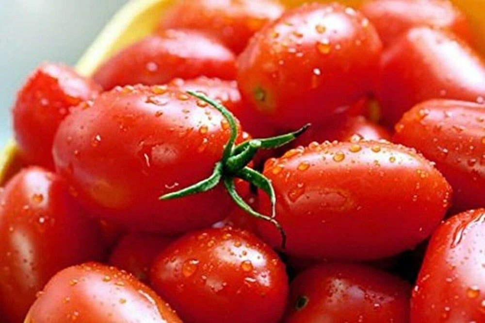 Crovarese Italian Grape Tomato Seeds - Red, Climbing, Outdoor - Image 1