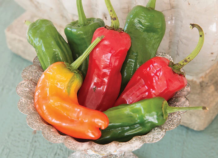 Cubanelle Sweet Pepper Seeds - Annual, Full Sun, Zones 3-12 - Image 1