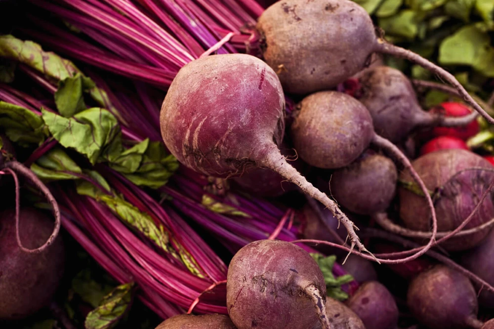 Detroit Dark Red Beet Seeds - Heirloom Vegetable Seeds for Gardening - Image 1