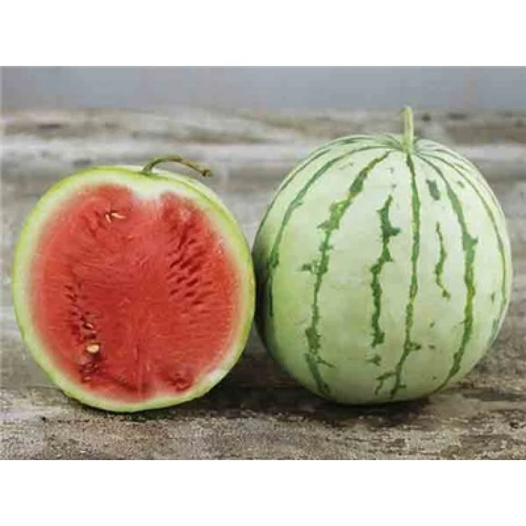 Dixie Queen Watermelon Seeds - Heirloom Crimson Fruit Seeds for Planting - Image 1