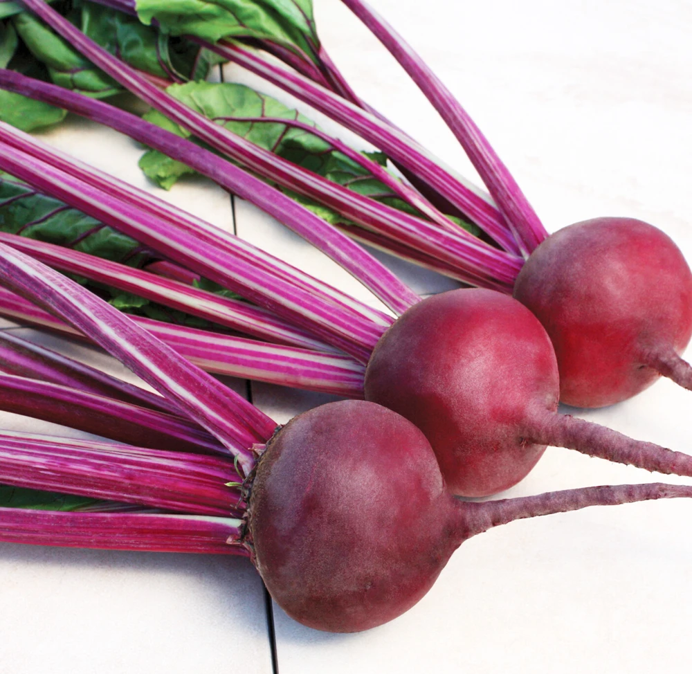 Early Wonder Beet Seeds - Tall Top Beetroot for Gardeners, Variety Sizes - Image 2