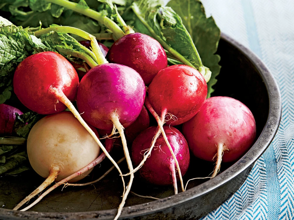 Easter Egg Radish Seeds - Fast Harvest Vegetable Seeds - Image 1