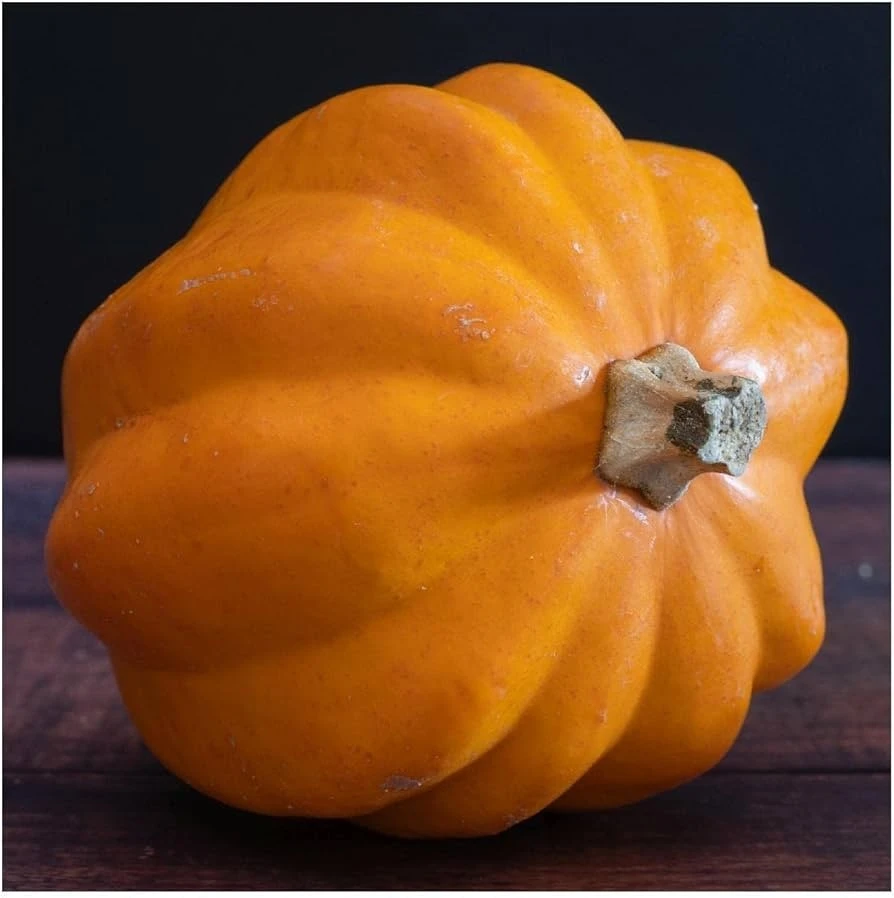 Gold Acorn Winter Squash Seeds - Yellow Vegetable Seeds - Easy Grow - Image 1