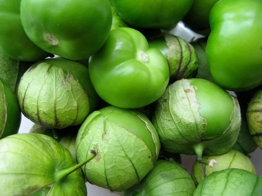 Grande Rio Verde Tomatillo Seeds - 50 Count, Mexican Husk Tomato - Image 1