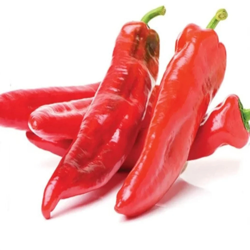 Guizeppi Chili Pepper Seeds - NuMex Hatch Green Chile Seeds - Easy Grow, Full Sun - Image 1