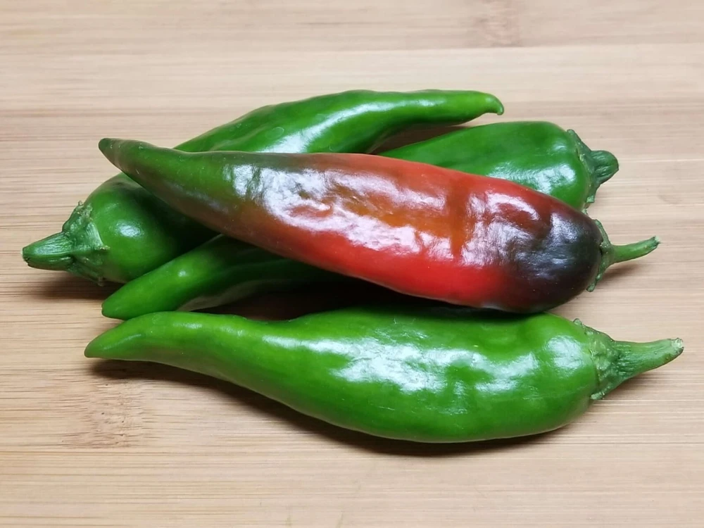 Hatch Lumbre Chili Pepper Seeds - NuMex XXX Hot Green Chile Seeds - Image 2