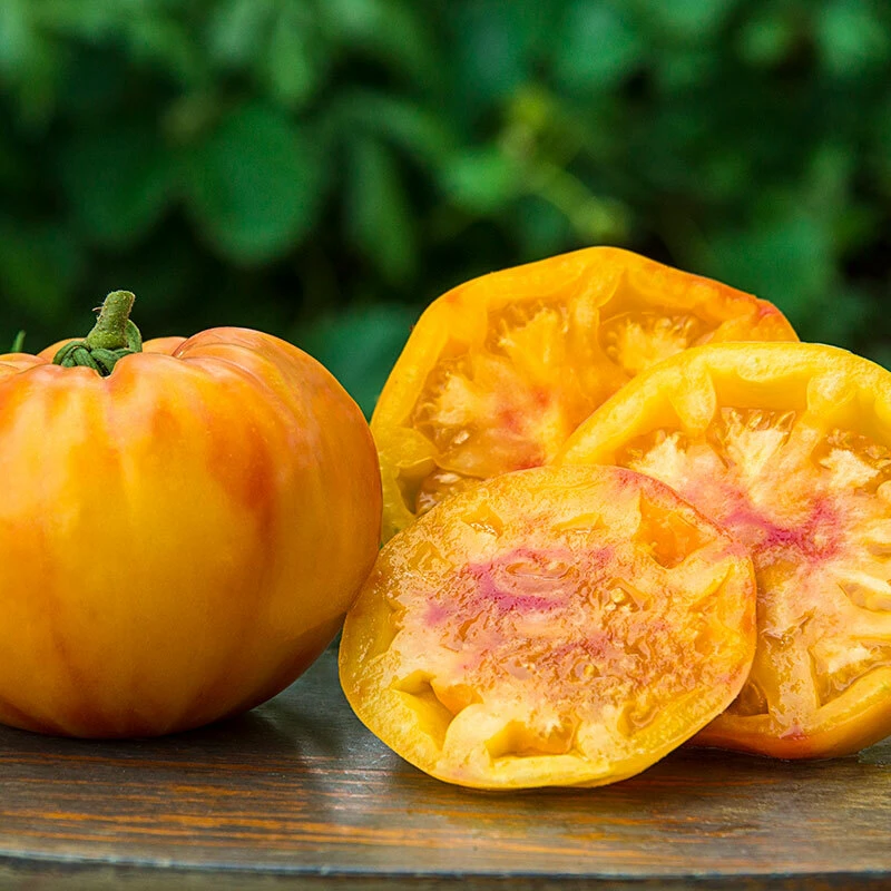 Heirloom Tomato Seeds - Beefsteak, Oxheart, Brandywine, Cherokee Purple, Black Krim Varieties - Easy Grow Outdoor Annual - Image 10