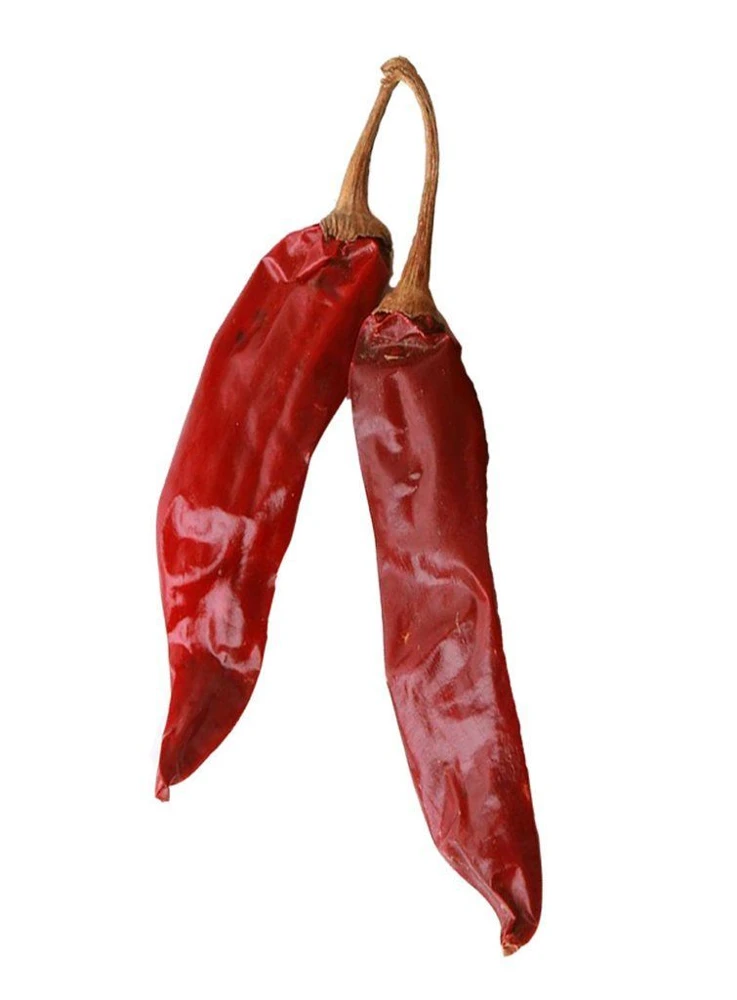 Hot Chile Pepper Seeds - NuMex Hatch Type - Red Chili - Outdoor - Image 2