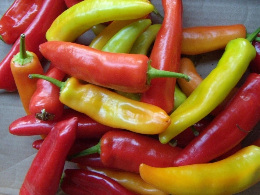 Hungarian Wax Hot Pepper Seeds - Medium Heat, Yellow to Orange, Outdoor - Image 2