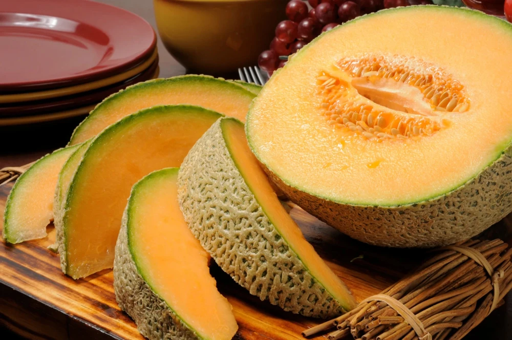 Iroquois Cantaloupe Seeds - American Muskmelon Fruit Seeds, Easy Grow - Image 1