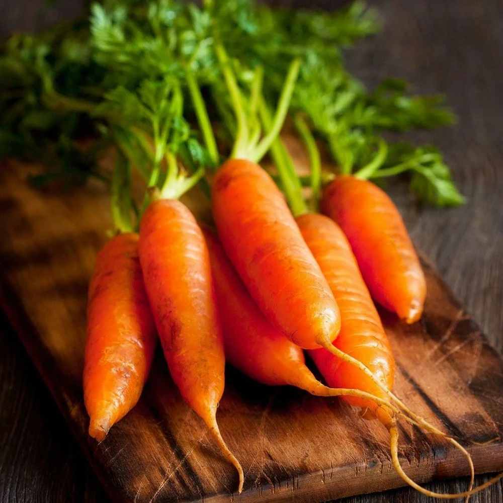 Little Fingers Carrot Seeds - Nantes Type, Baby Carrot, Easy Grow - Image 1